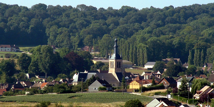 Saint-Martin-d'Ablois